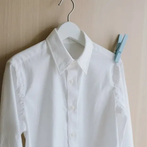 經典白色扣領襯衫